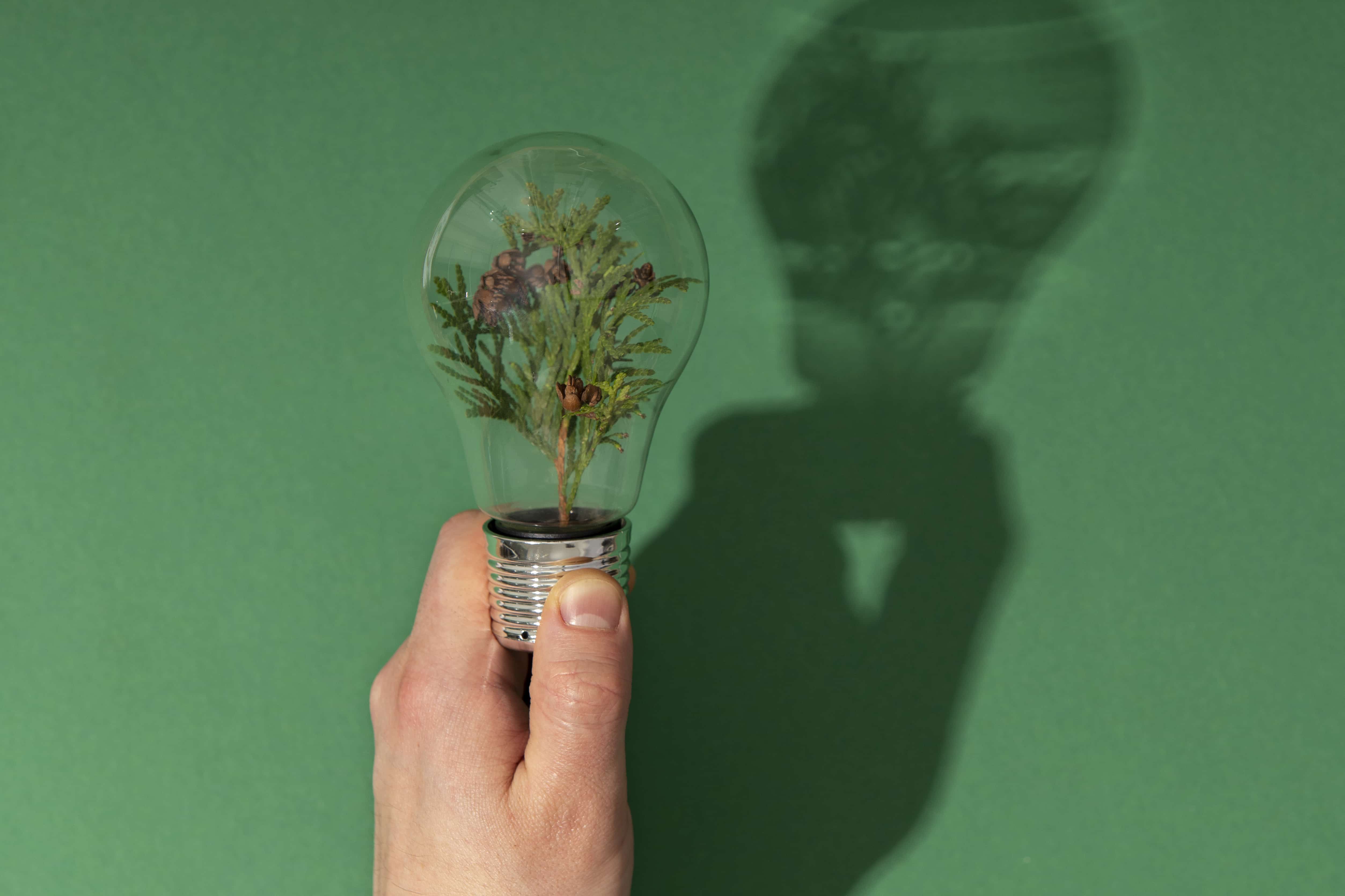 Carbon Credits Aren’t Enough: Ultima Markets’ Sustainable Vision