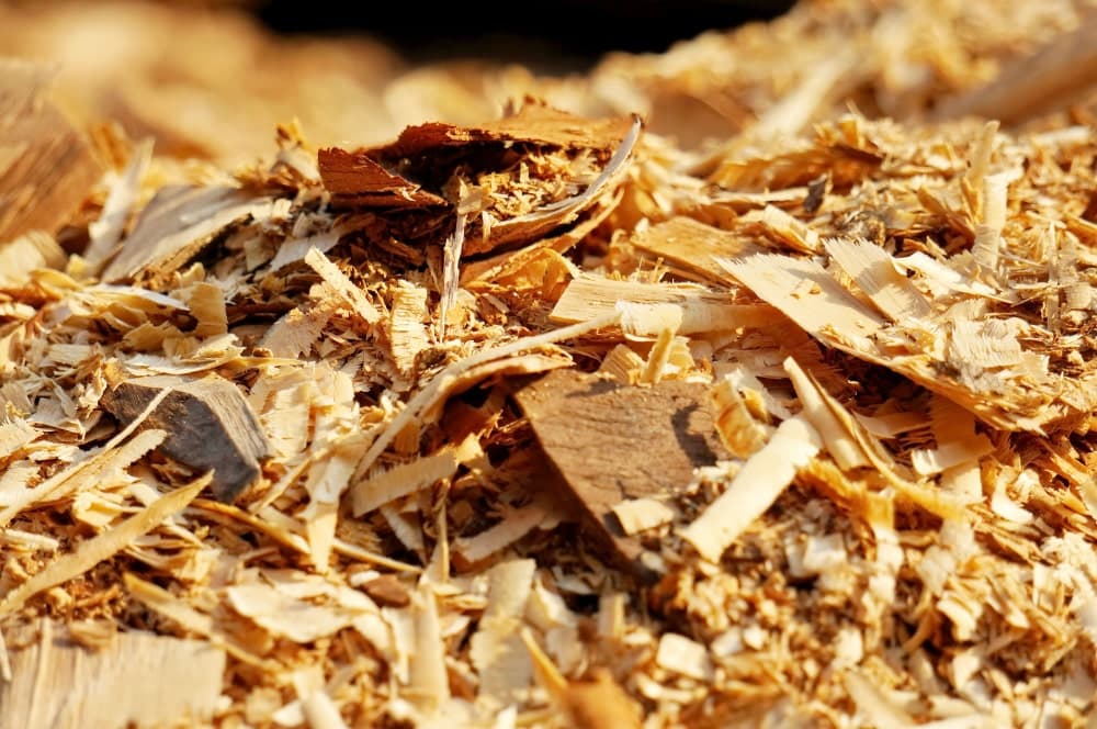 Grand Rapids Startup Raises $3.75M for AI-Powered Wood Recycling