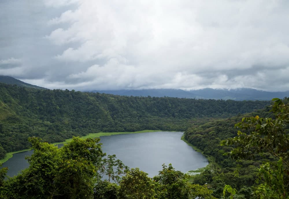 IDB, World Bank Roll Out Programme to Safeguard Amazonia