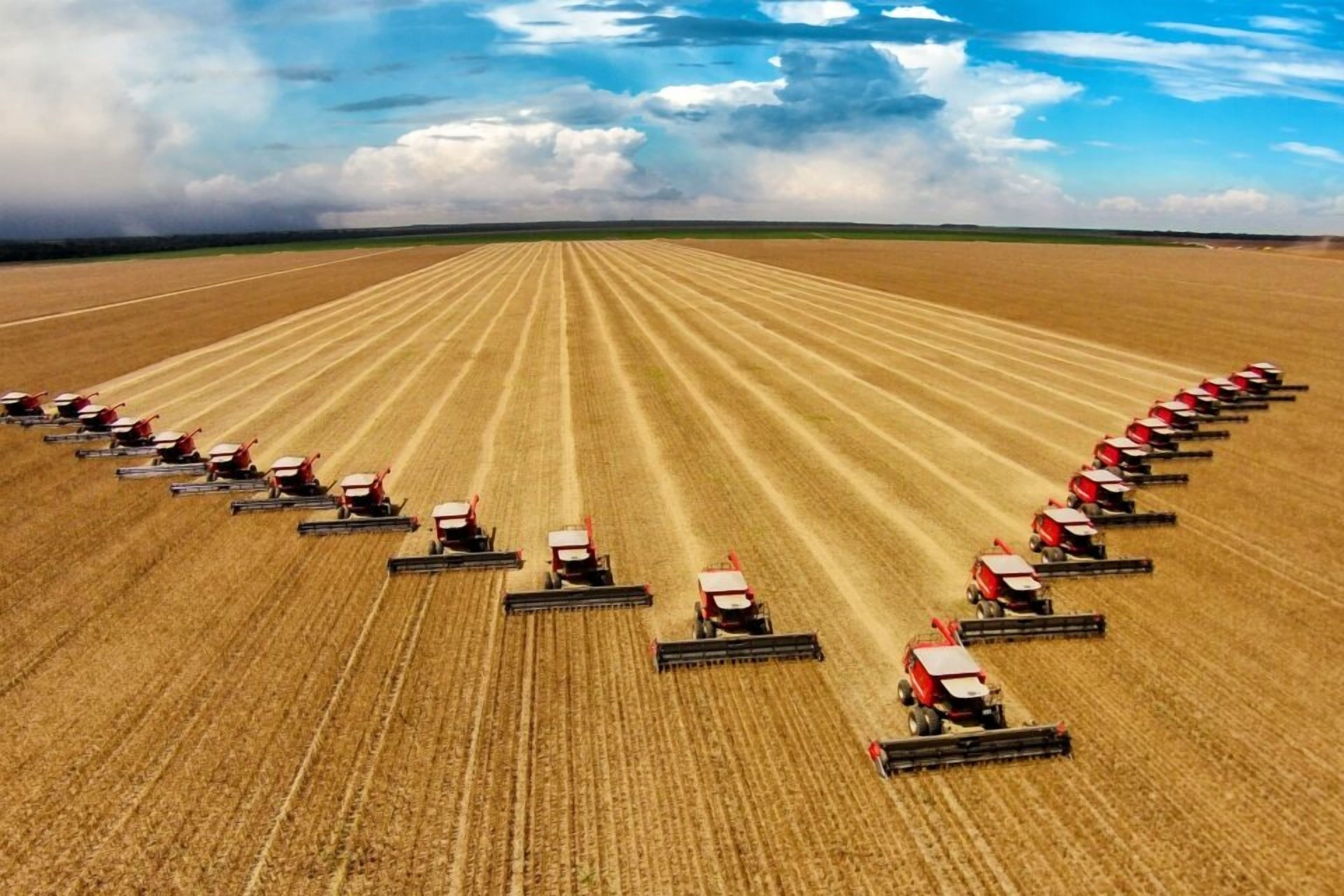 Food Production Affects Earth’s Natural Processes