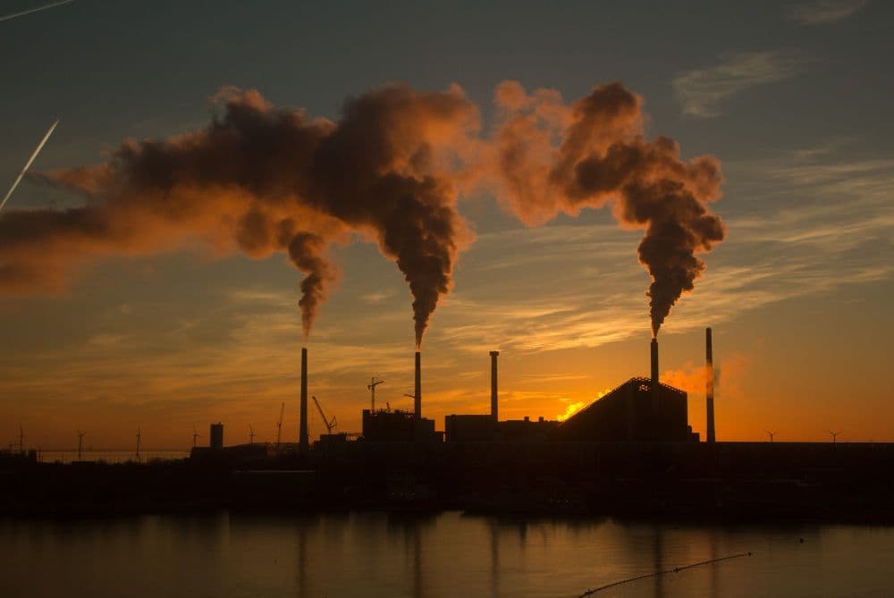 Forestry Carbon Trades Push China's Green Goals Ahead