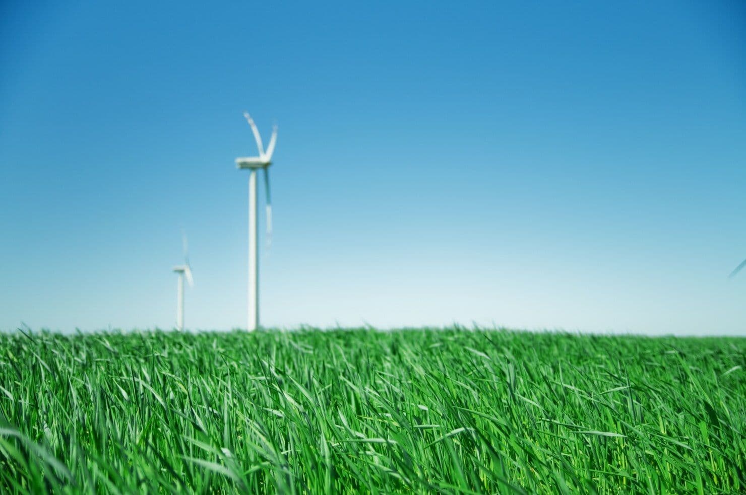 Top 5 Best Environmental ETFs for Green Investing in 2025