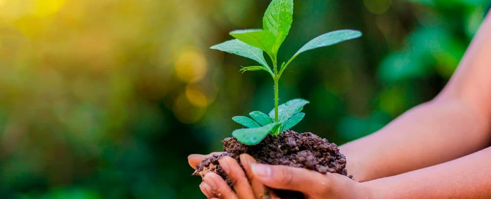 Creating Sustainable Impact for All Stakeholders: Lilly ESG Updates