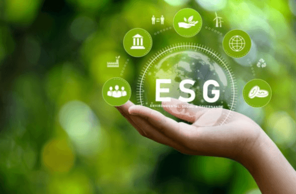 Building an ESG strategy