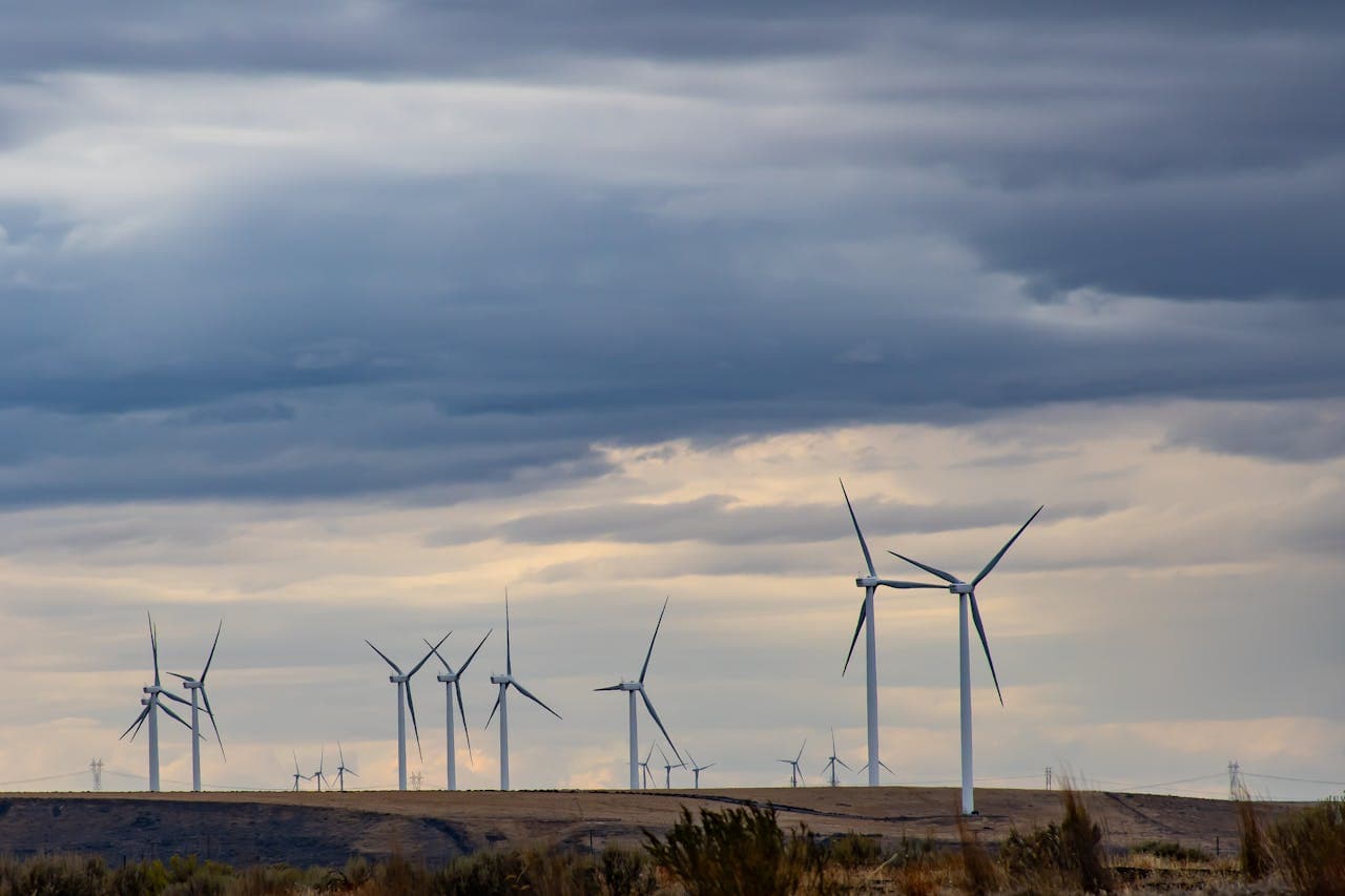 Wind Turbine Blades 2024, Germany