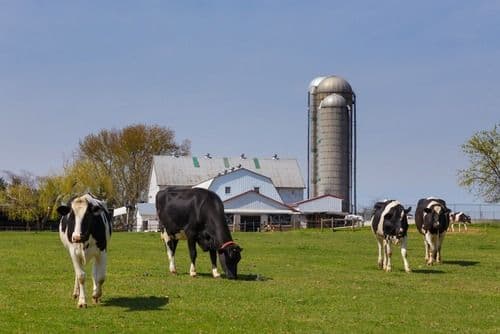 UGI Invests in Renewable Energy Producer Ag-Grid Energy