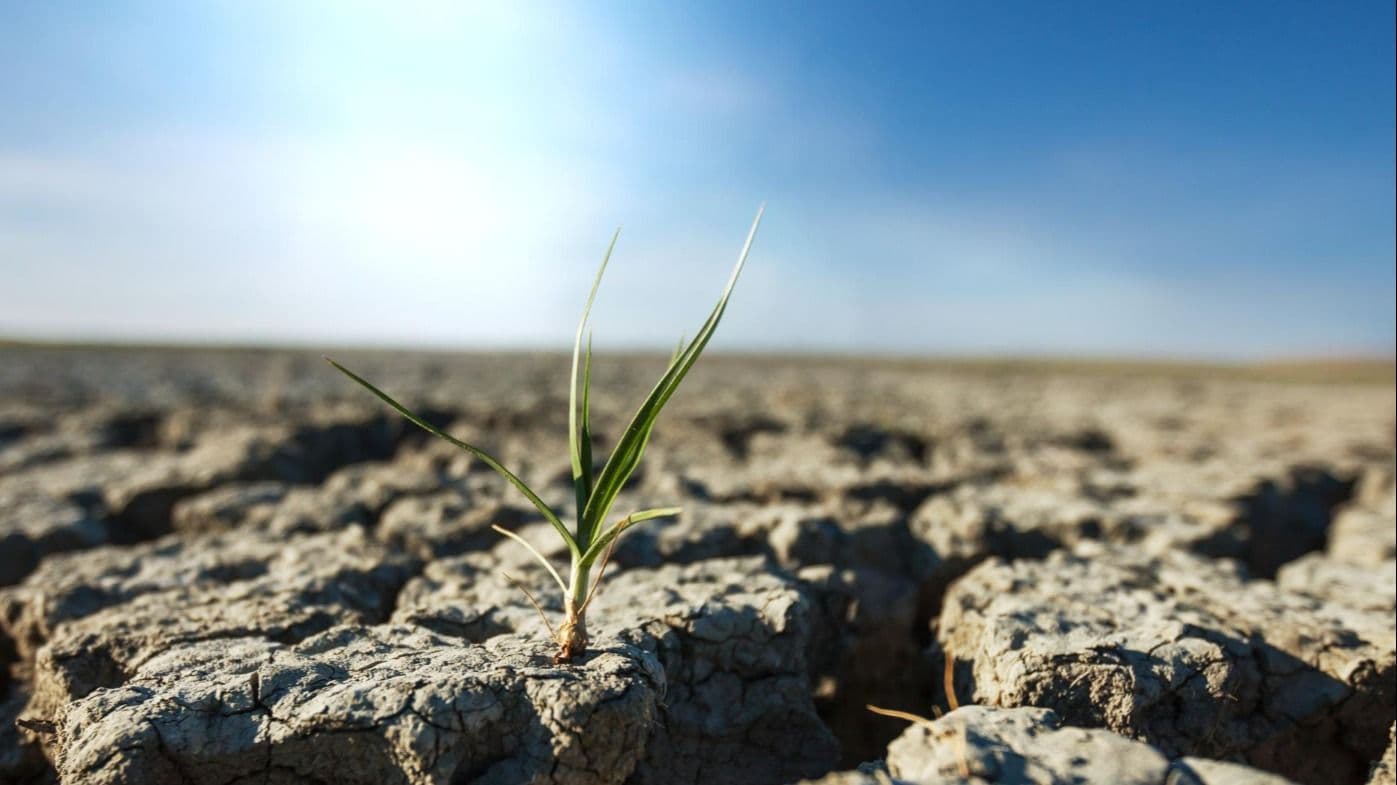 RBS Fund: Empowering Communities for Climate Goals