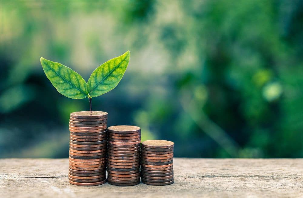 Reserve Bank of India's Role in Energy Transition