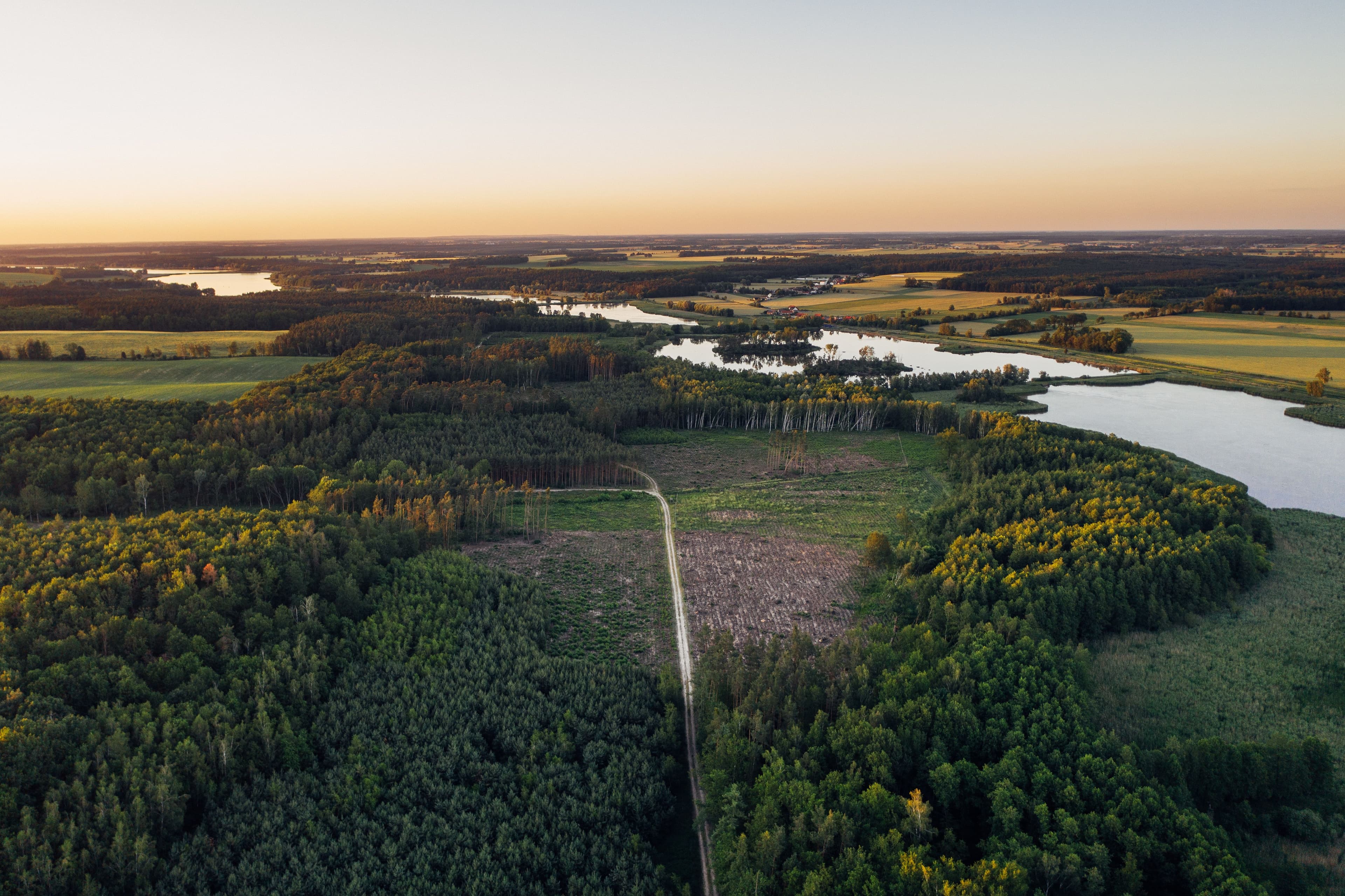 Helsinki to Tweak its Forestry Policies