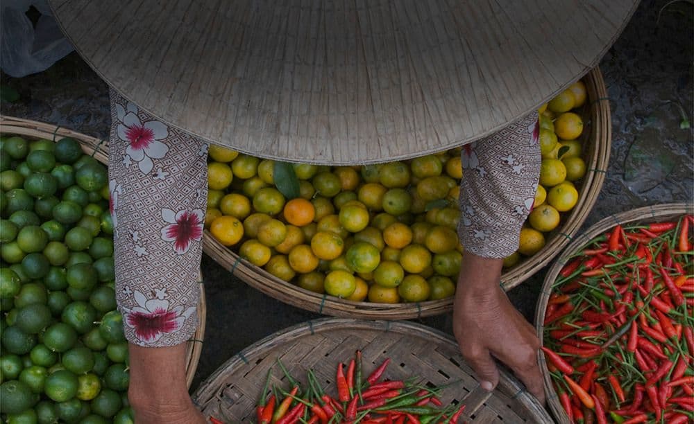 ISS and Coolfood Launch New Low-Carbon Food Initiative