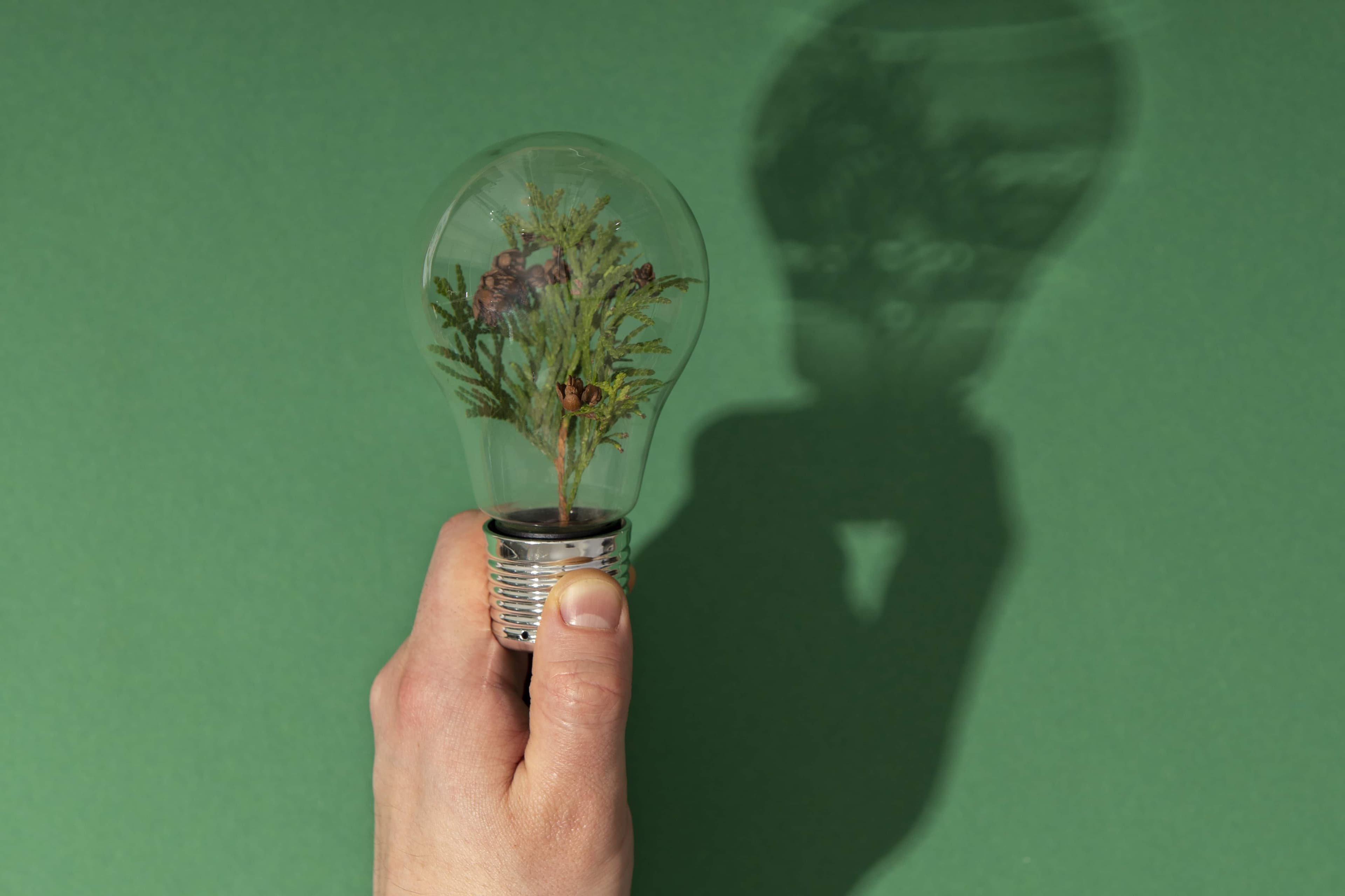 Financial Firms Ramp Up ESG Tech Spending, Says Survey