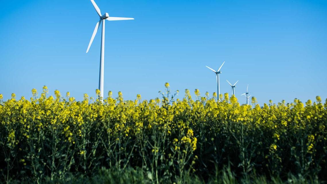 Netherlands & UNDP Drive Vietnam's Circular Economy