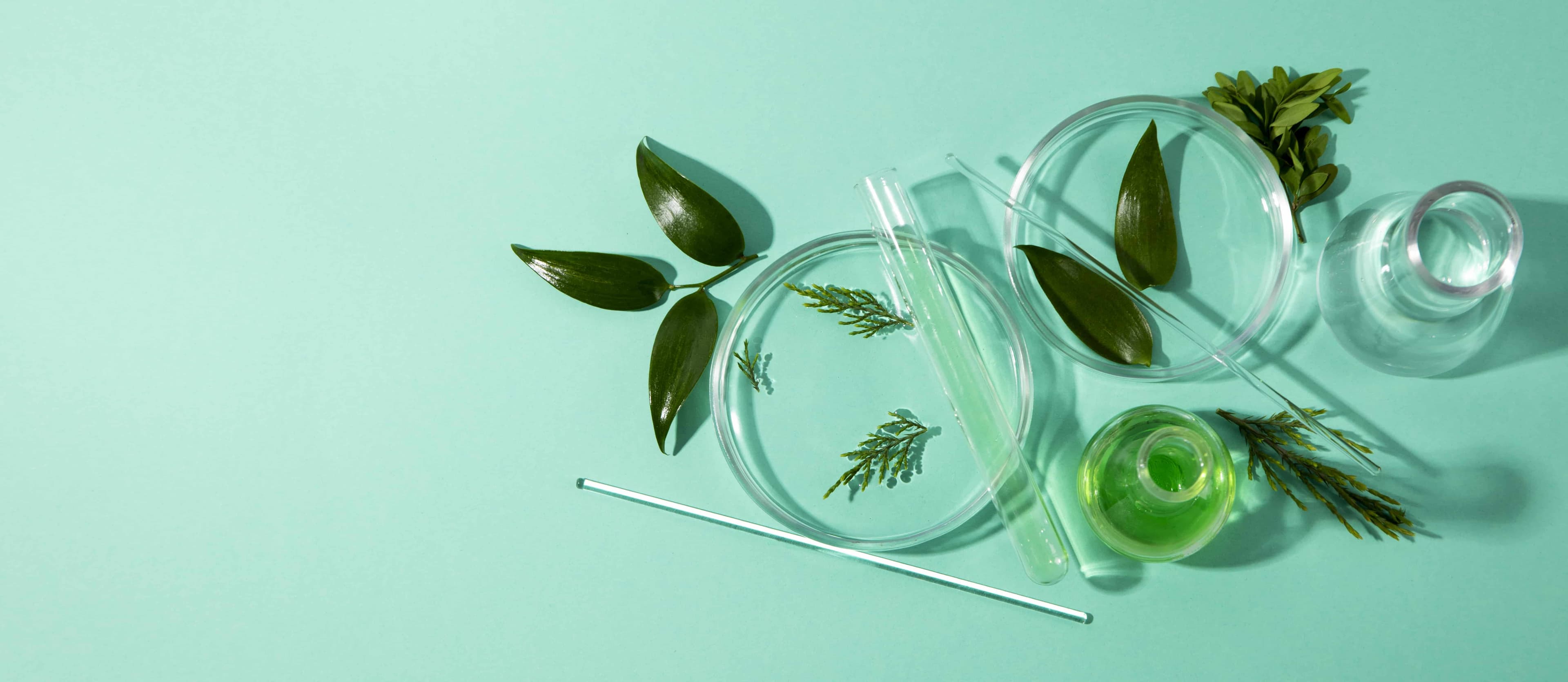 Green Chemistry Gains Ground: Entrepreneurs Unite for a Sustainable Future