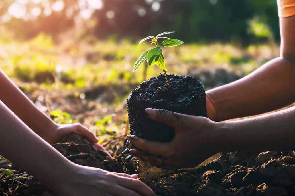 Verizon Enhances its Sustainability Programs to Lessen the Impact on the Global Climate.