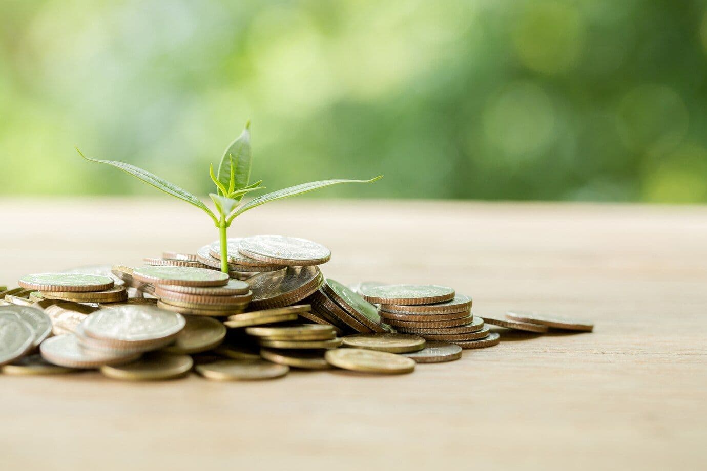 Kenya Receives US$100m for Climate Projects and Women-Led SMEs
