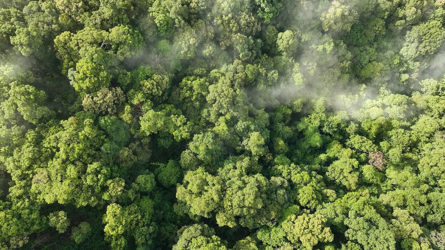 Pandora Sets Lofty Goals to Reach Net Zero by 2040