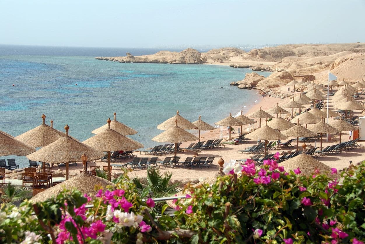 Sungrow Contributes to Egypt's Efforts to Achieve its Sustainable Development Goals