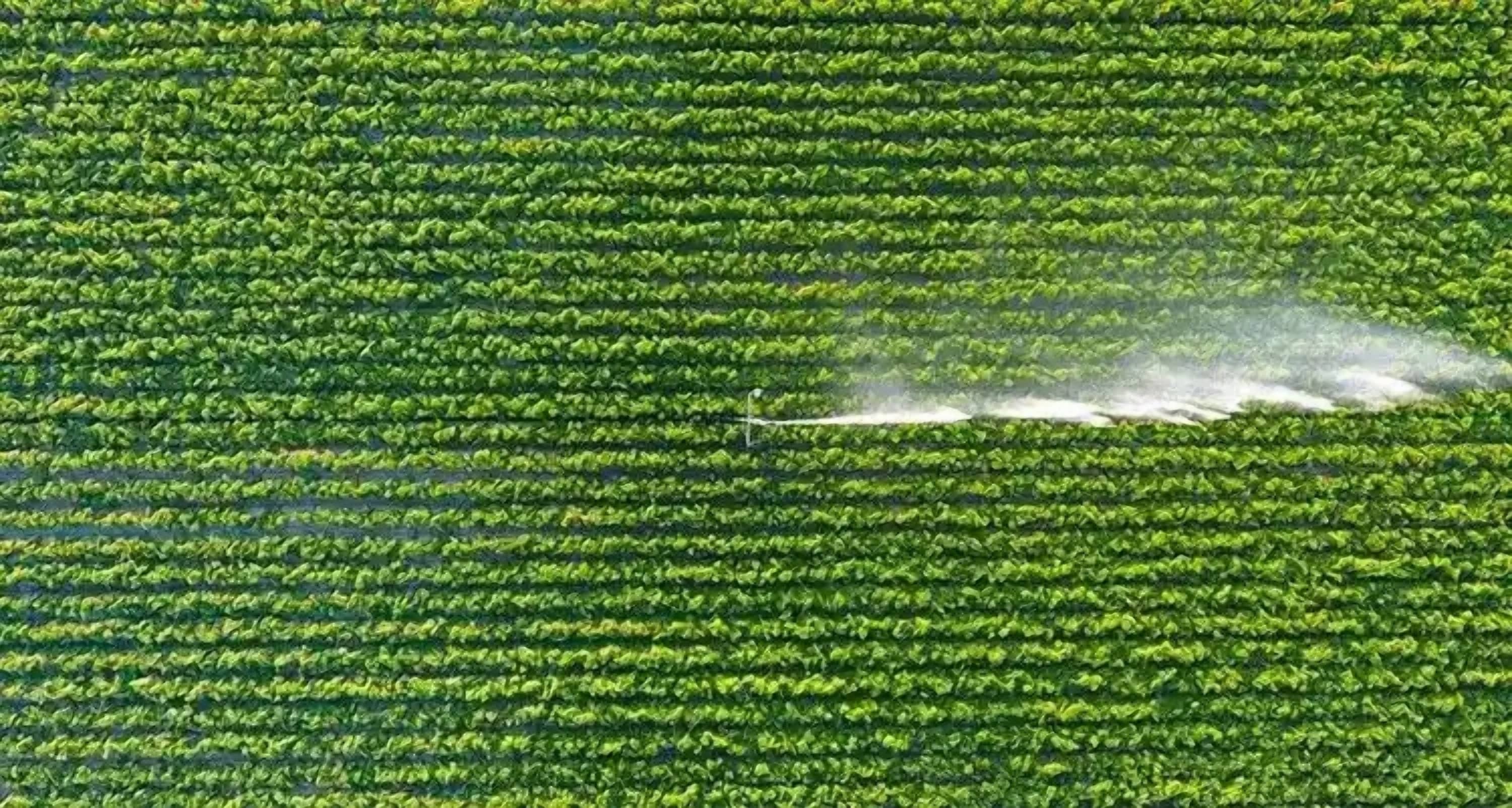 Mahindra Susten Joins Water-Positive Movement in India