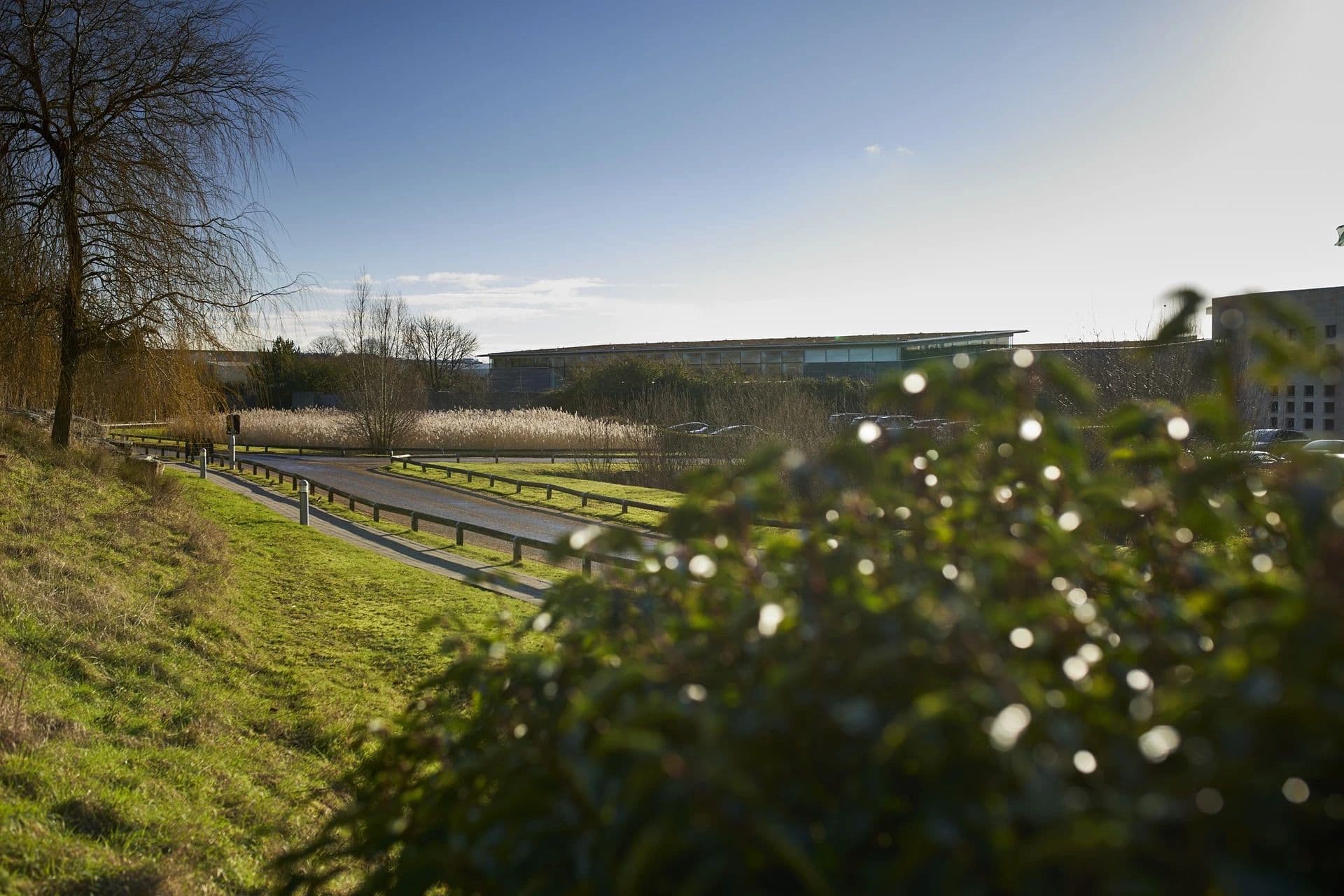 Aston Martin Races Towards Green Roads