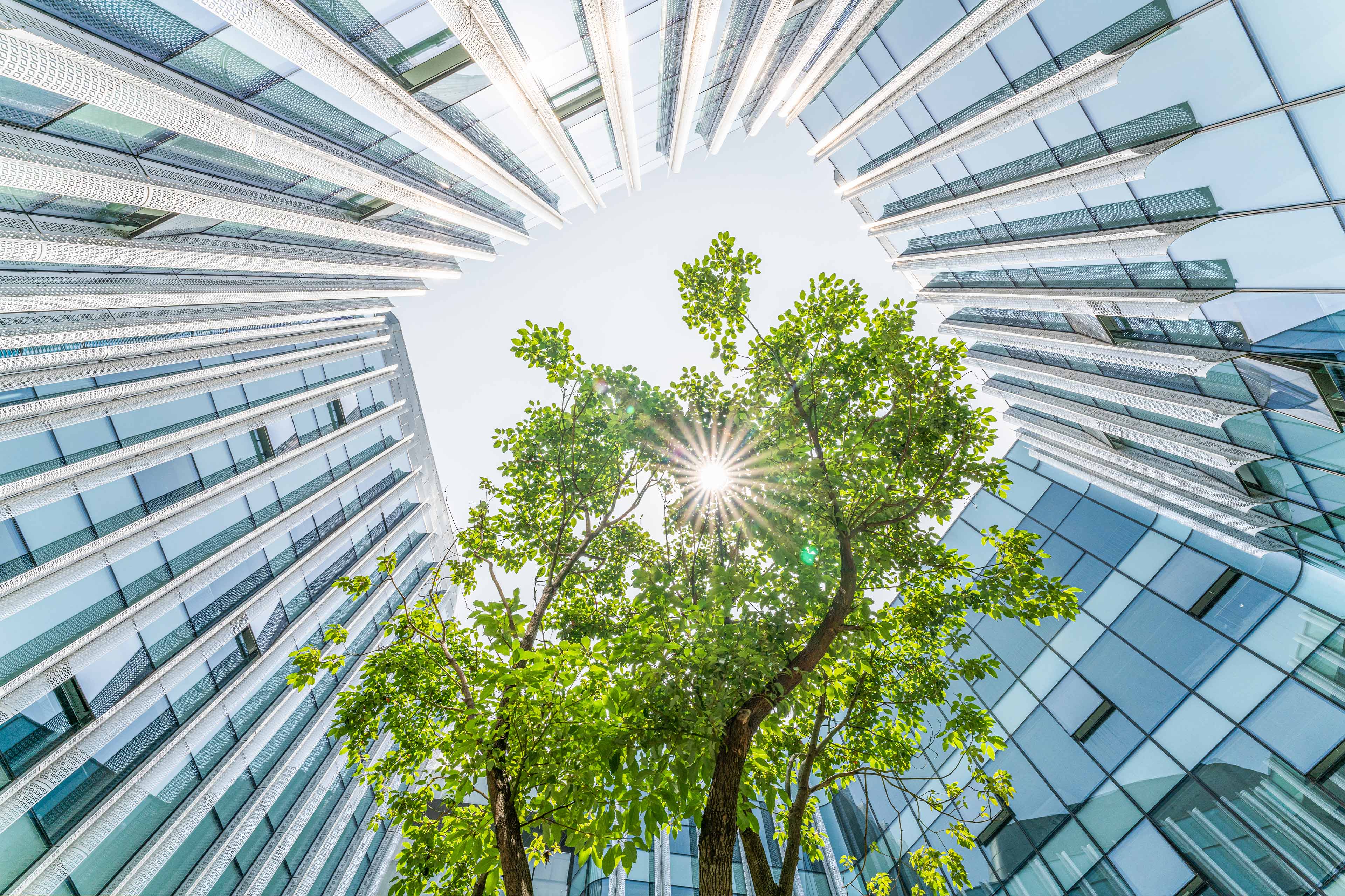 ESG: Asset Managers Falling Short on 'S'