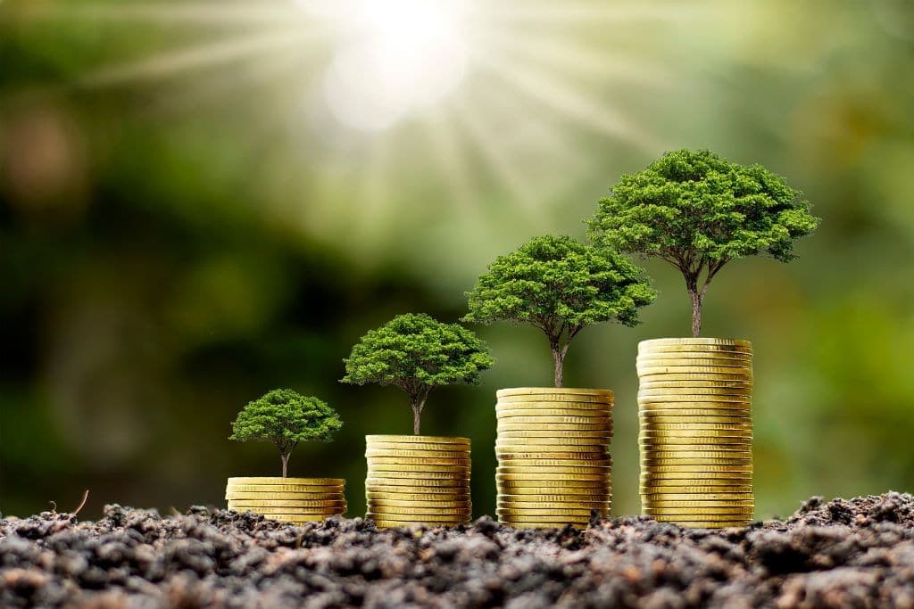ESG and Sustainable Investing 101