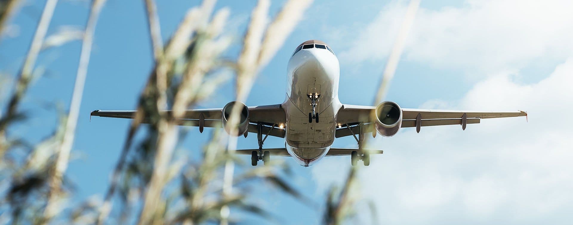 BNZ Green's Partnership with EaseMyTrip makes Travelling more Sustainable
