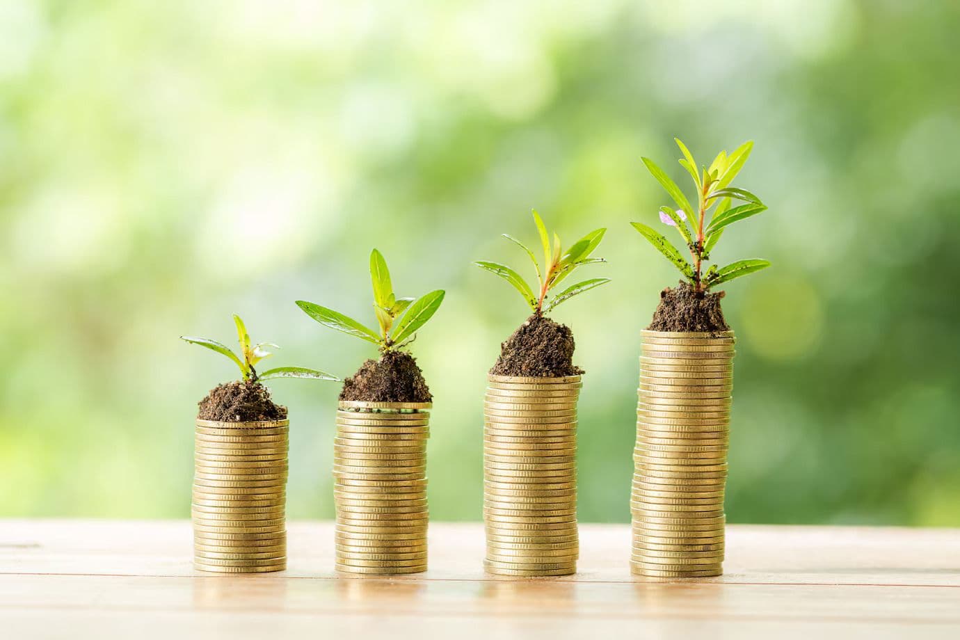 The Canadian Sustainable Finance Network Conference 2025, Toronto
