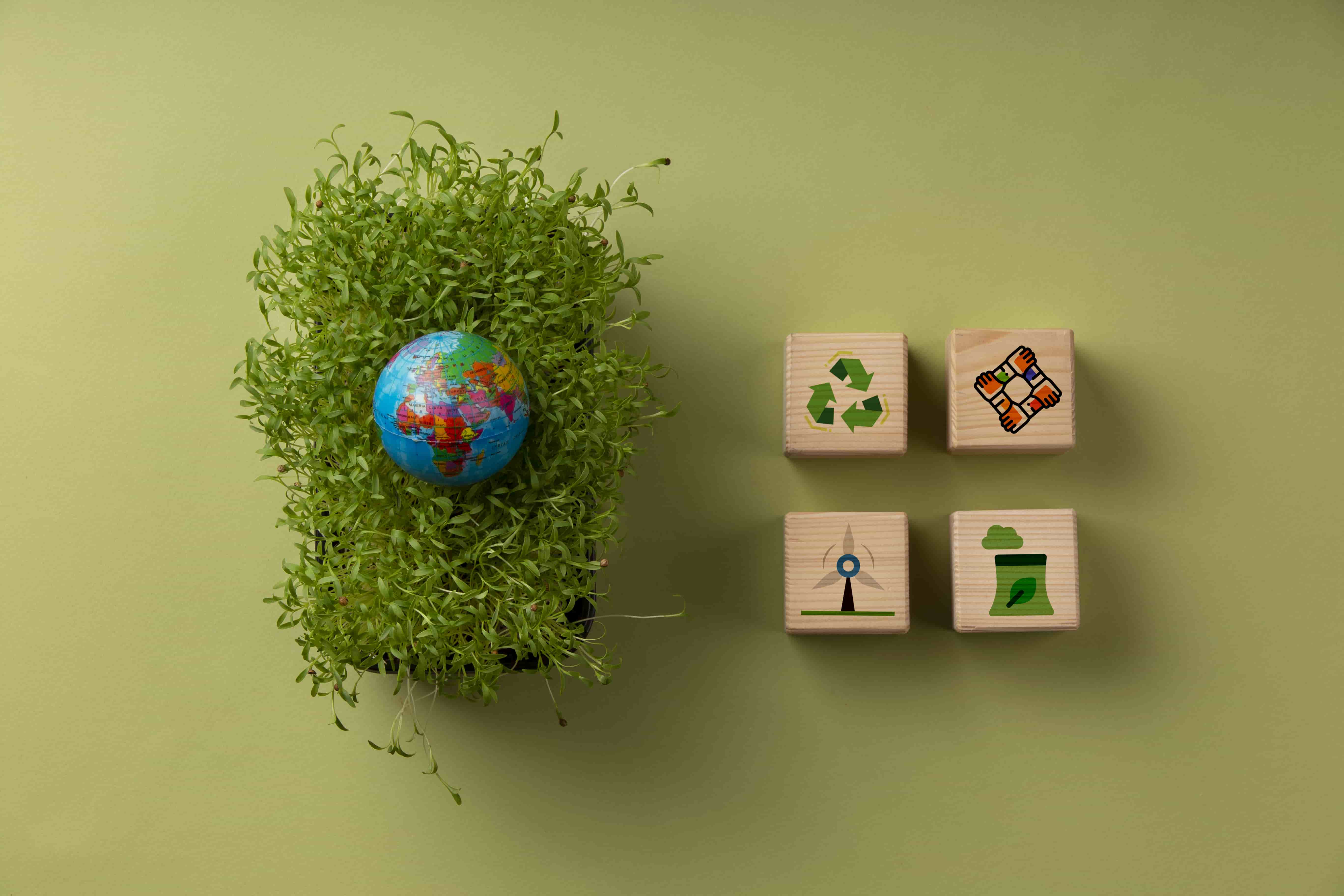 DWS Charts a New Path: CEO Hoops Leads Post-ESG-Crisis Revival