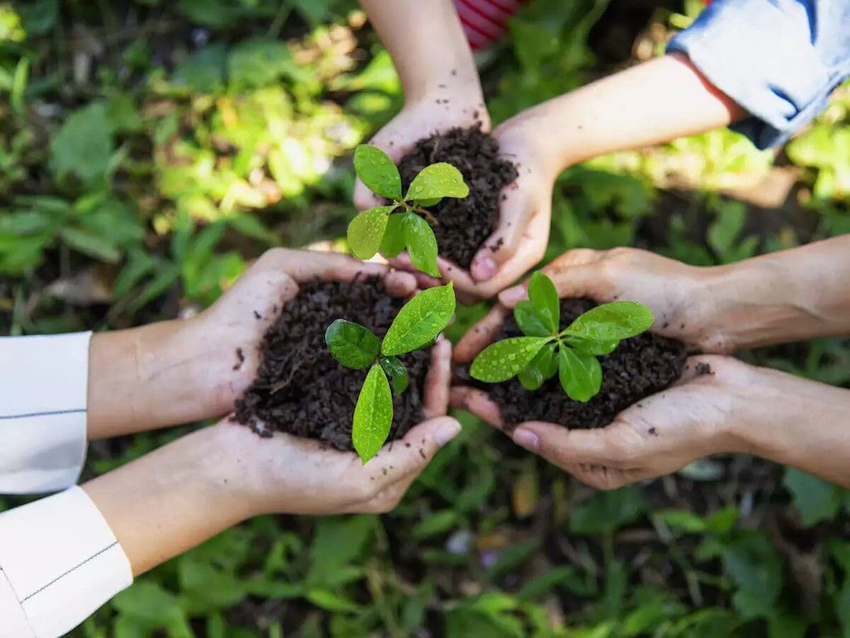 Hellas Implements ESG Programme