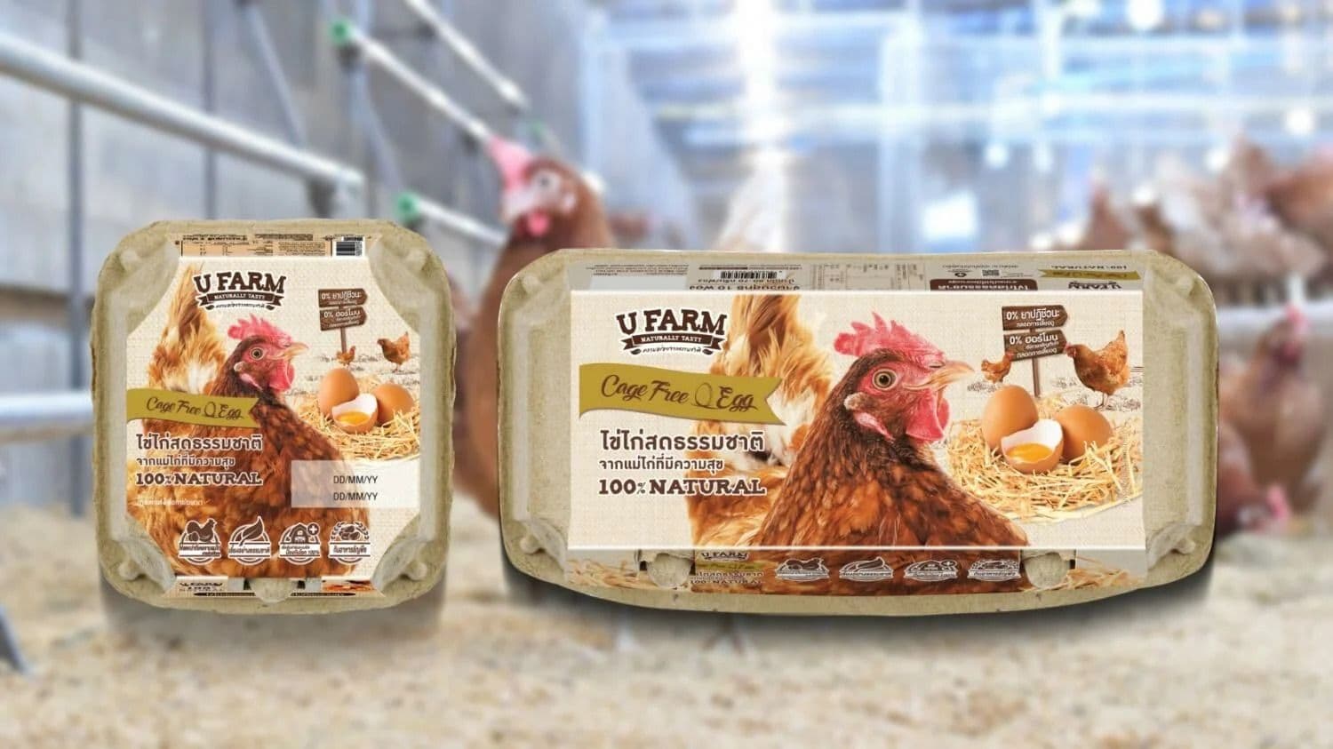 Asia's First Carbon-Neutral Cage-Free Egg by CP Foods