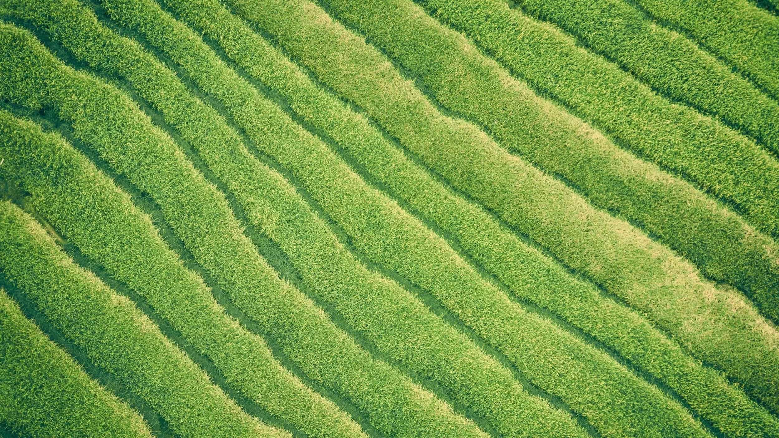 ASIC Cracks Down on Greenwashing: 47 Actions, $123K Fines