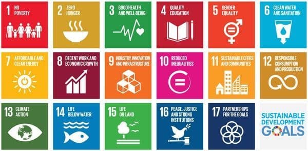 How to Achieve the SDGs