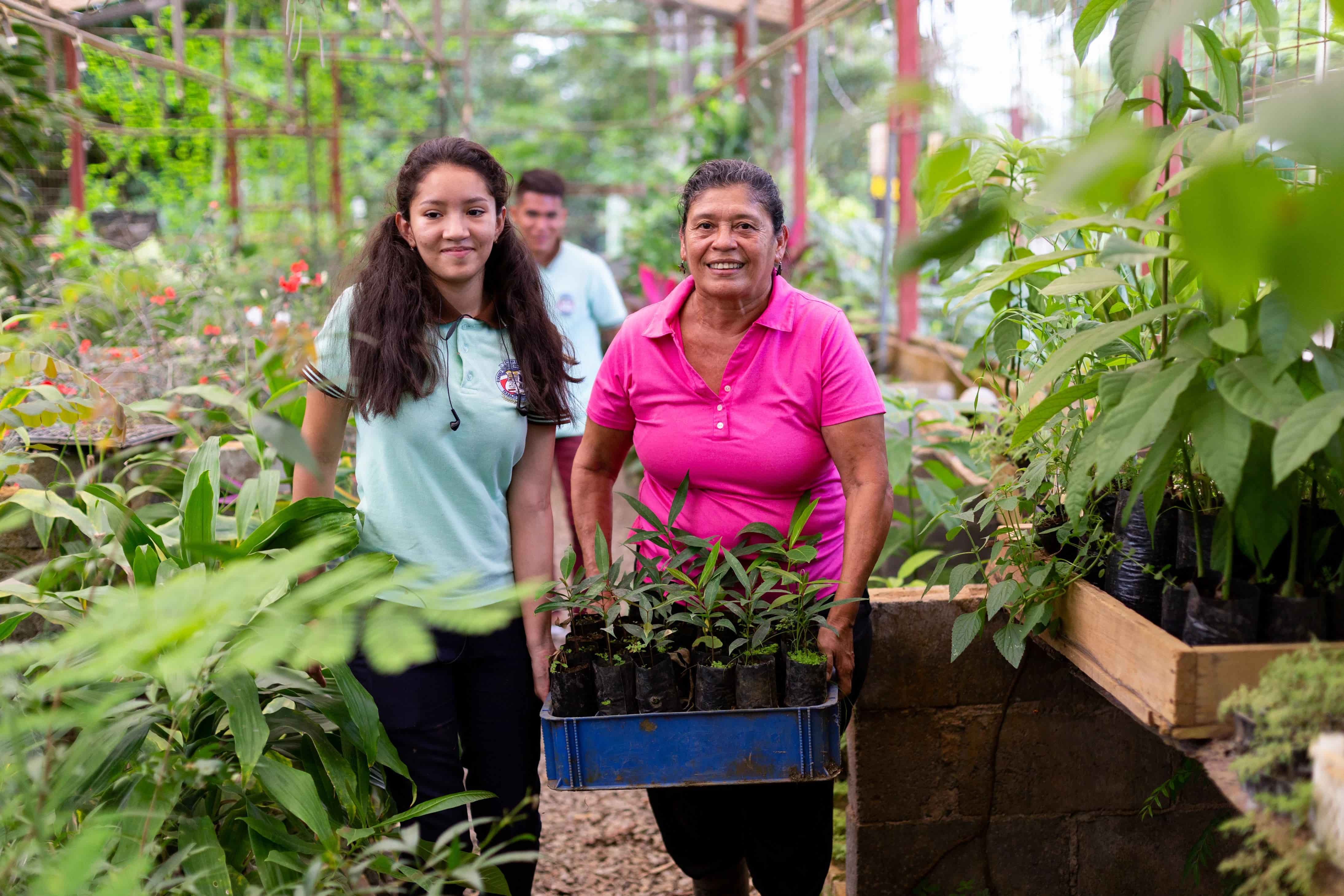 UNDP Guide to Help Countries Reduce Biodiversity Impact