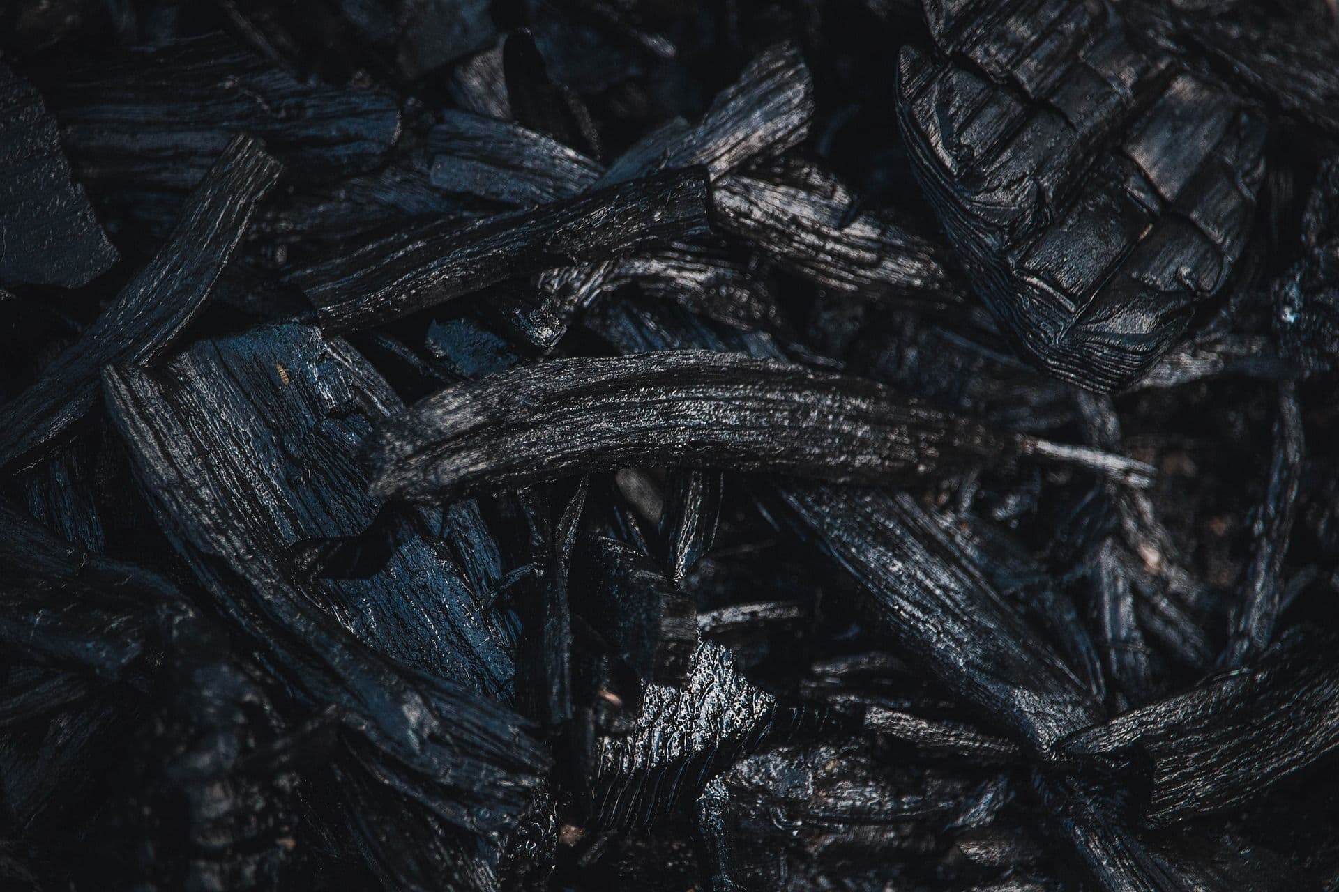 Carbon zéro: quel coût pour les entreprises?