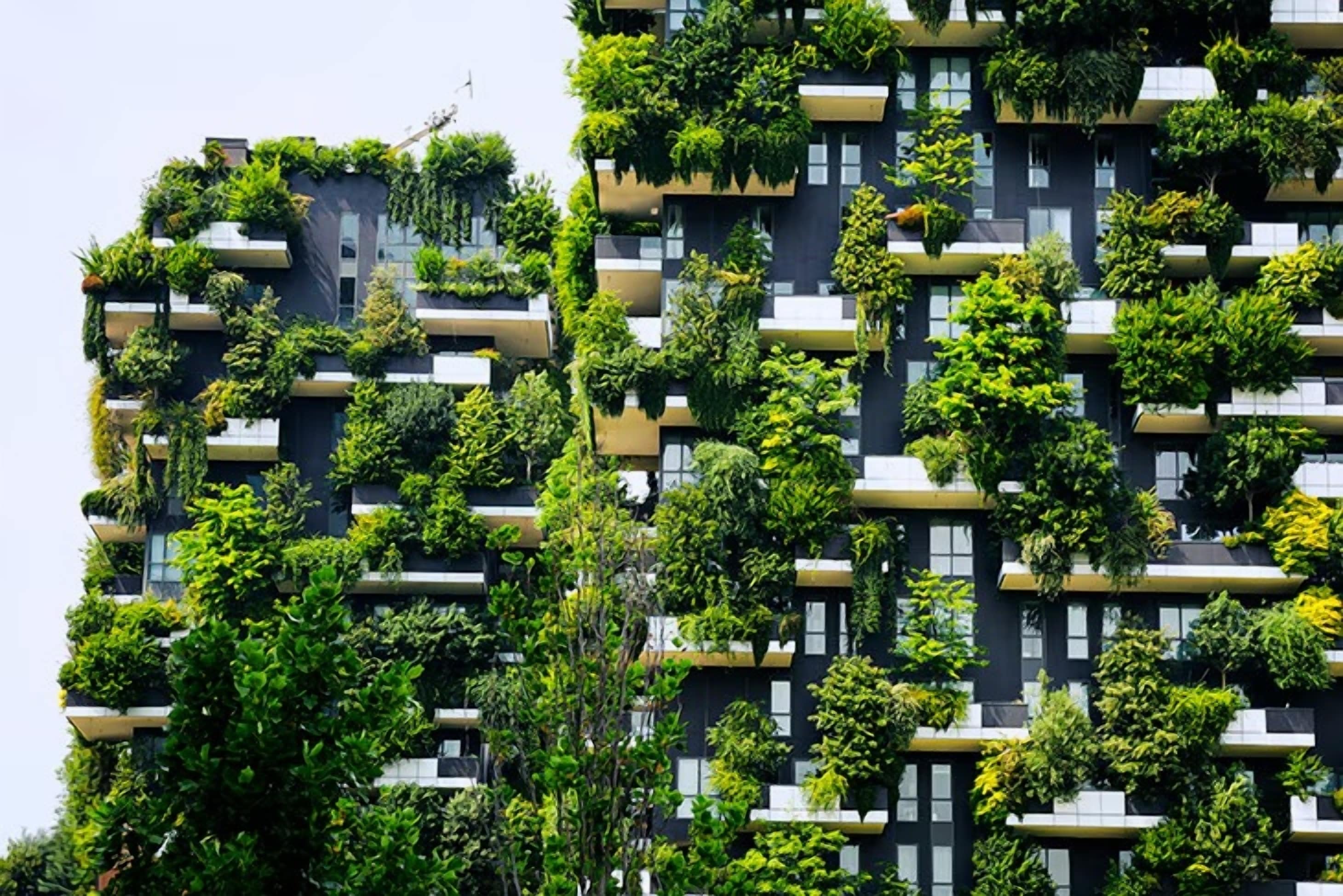 BBVA Expands Decarbonisation Goals to Real Estate, Aluminium