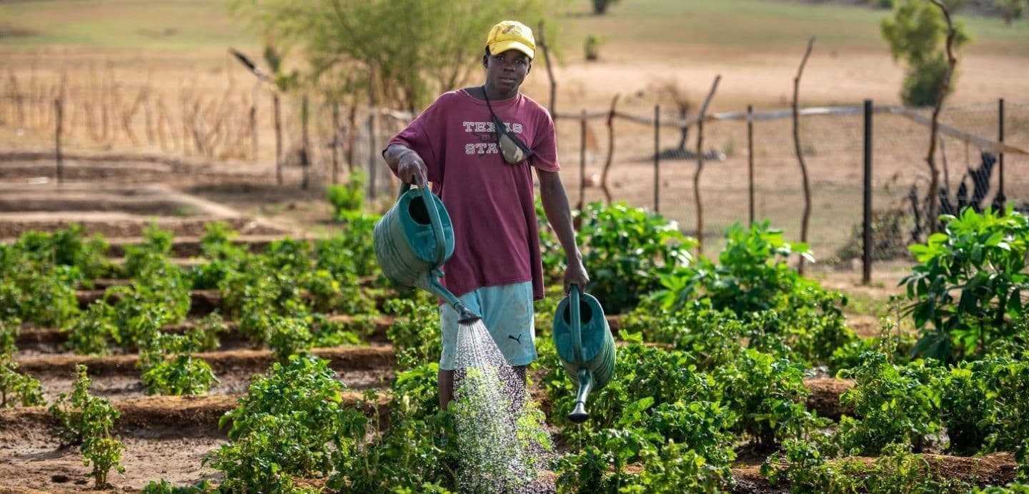 IFAD's Euro Bond for Rural Poverty Relief