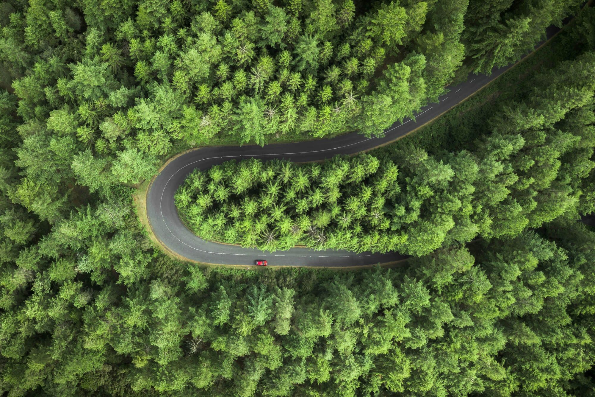 Nikon's ESG Efforts Shine: 6 Years on DJSI Indices