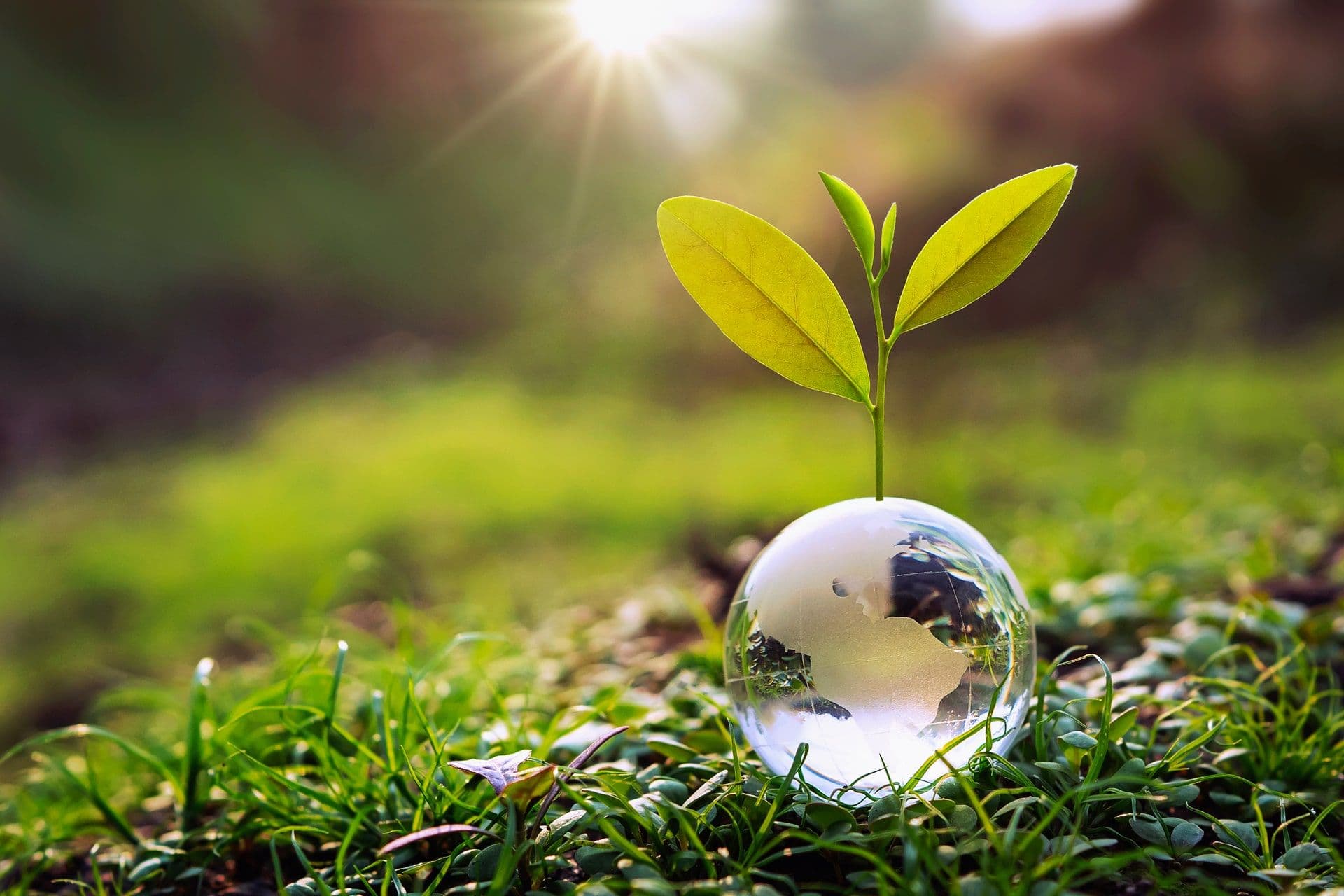 International Conference on Environmental and Sustainable Development 2024