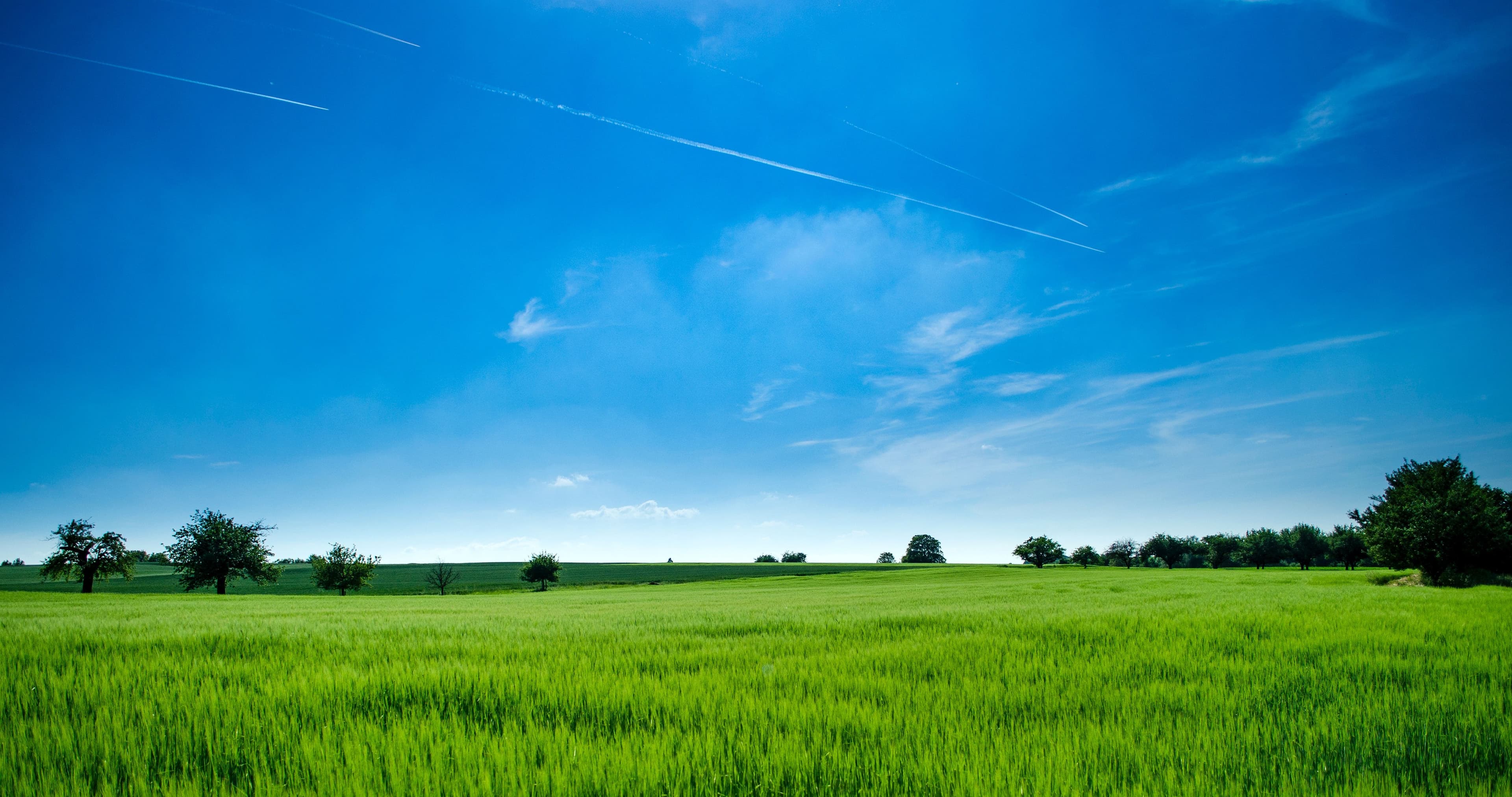 Vanguard to Roll Out Environmental Opportunities Fund