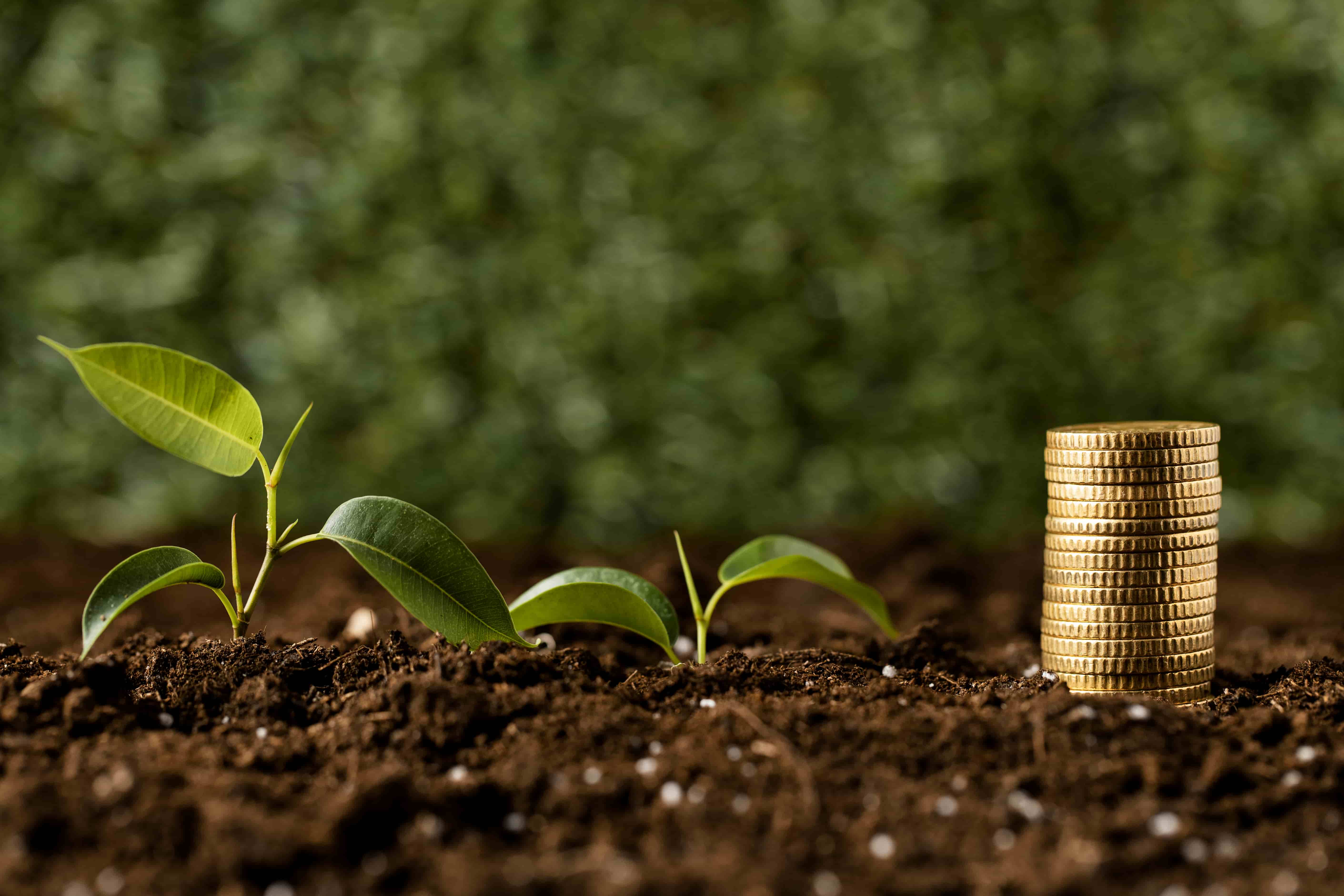 Green Gold: EABL Sustainability Bond Reshapes Corporate Borrowing