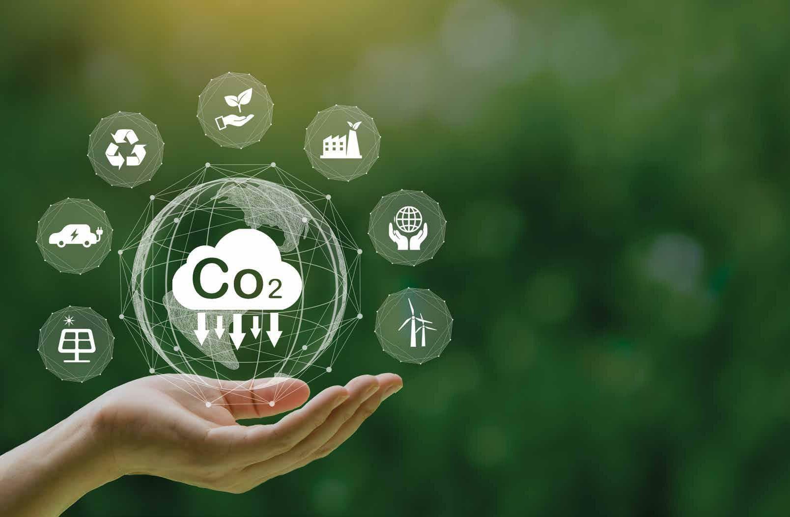 Carbon Accounting for Cities 2024