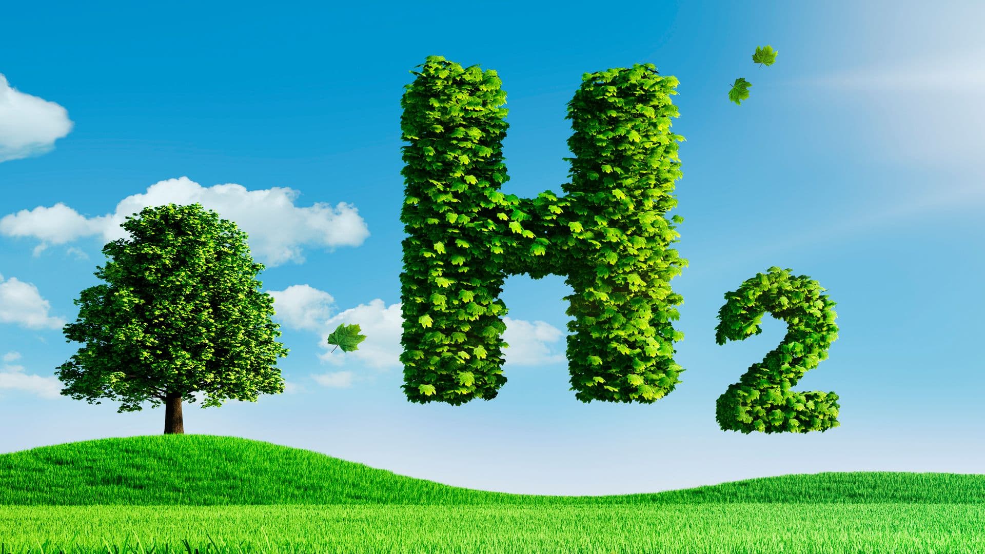 AltaSea White Paper Explains Advantages of Sustainable Green Hydrogen Market