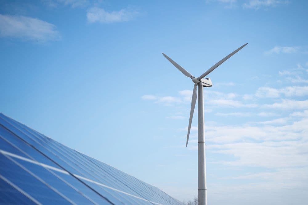 New Zealand, BlackRock Partner for 100% Green Energy