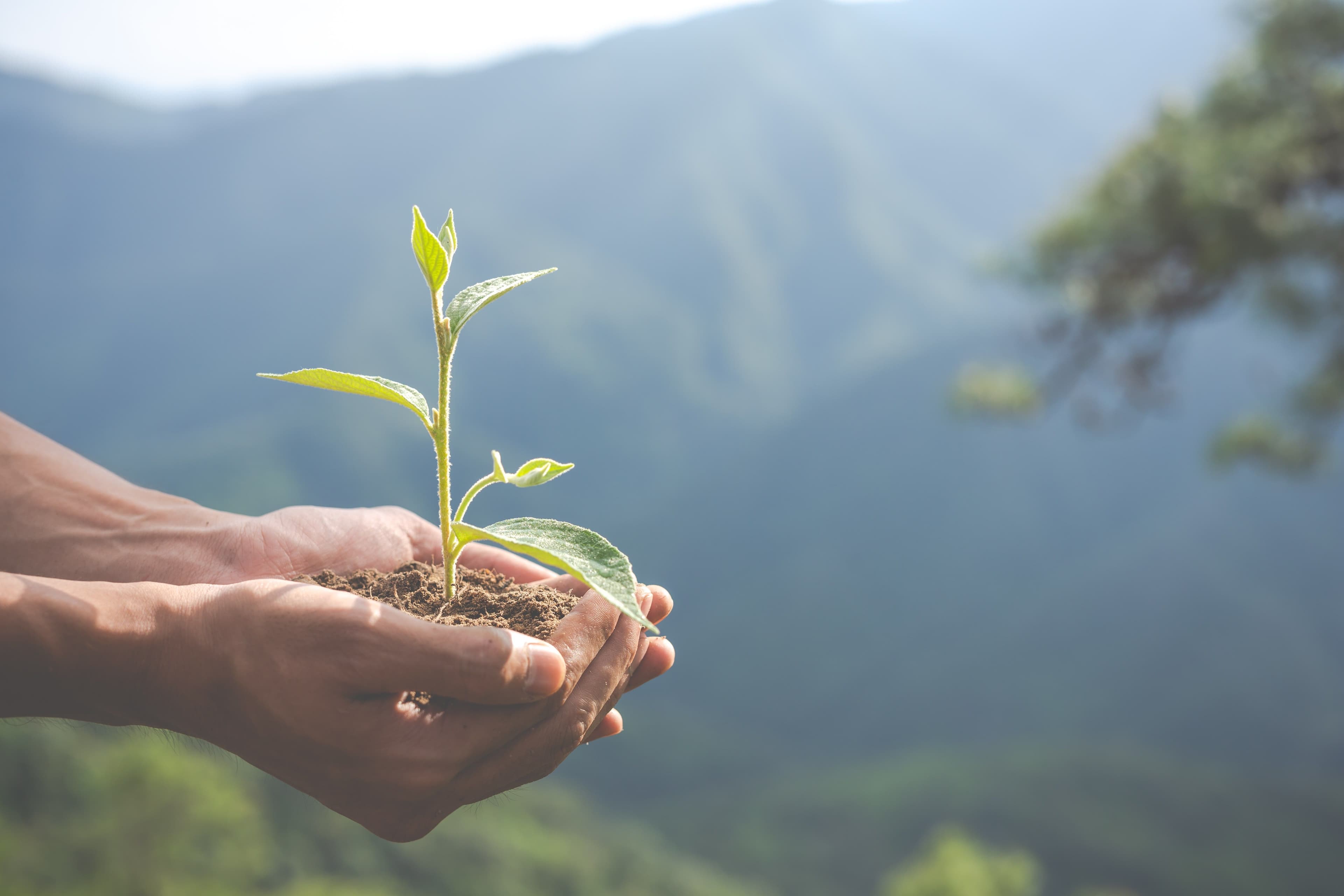 HSBC Rolls Out ESG Index