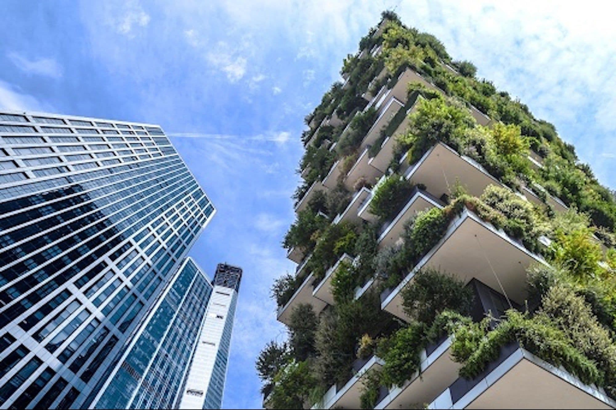 Emirates NBD Backs Erguvan, A Carbon Credit Platform