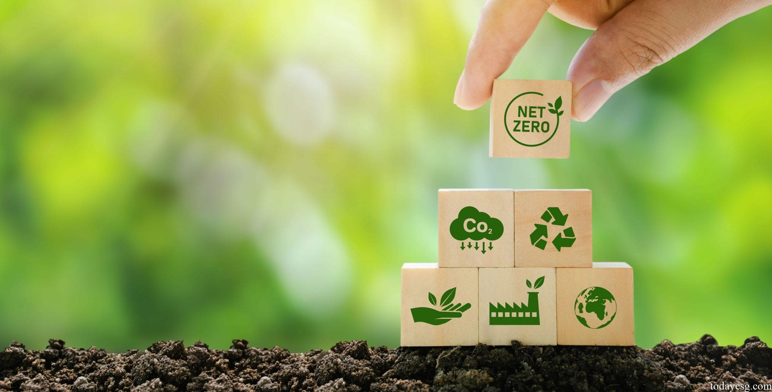 SFDR 2.0 Draft Suggests Overhaul of EU ESG Disclosure Framework