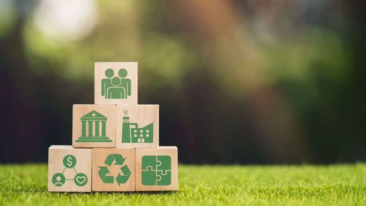 Grocers' ESG Boost: Tips for Better Reporting