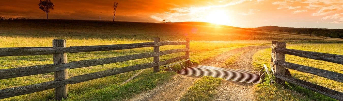 Phibro's Second ESG Report Released