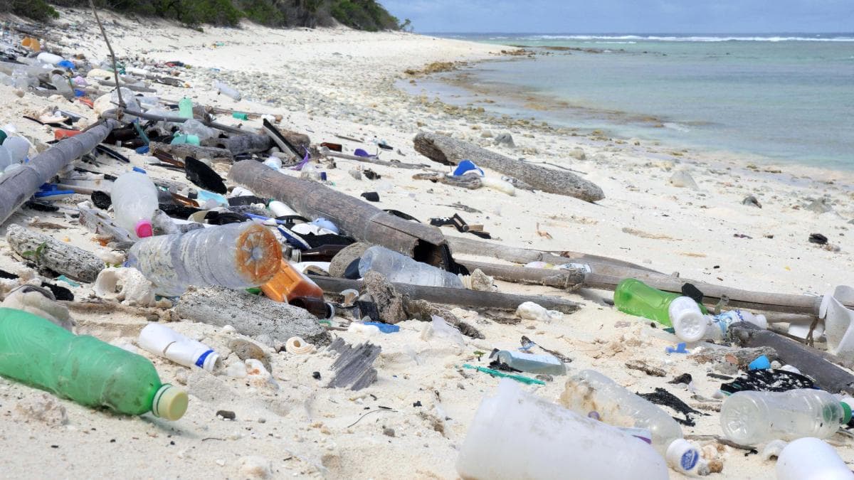 People Want Government to Do More to Keep Plastics Out of Water