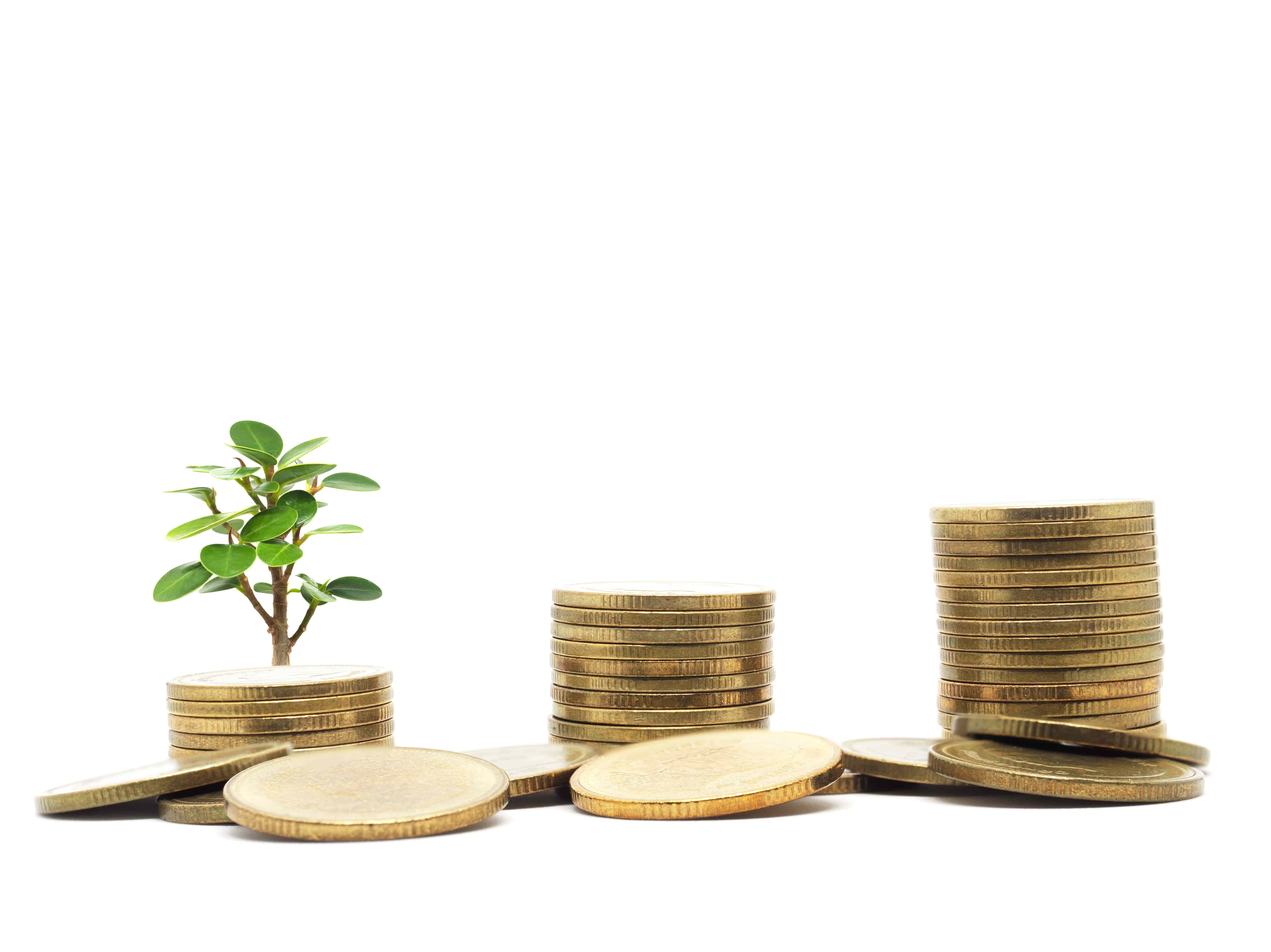 Digital Edge Releases First Green Finance Framework